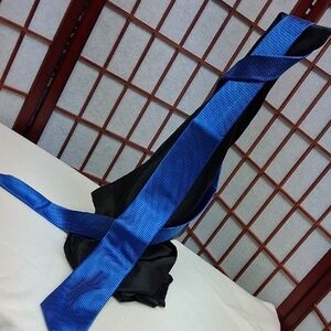 Vibrant Blue Necktie